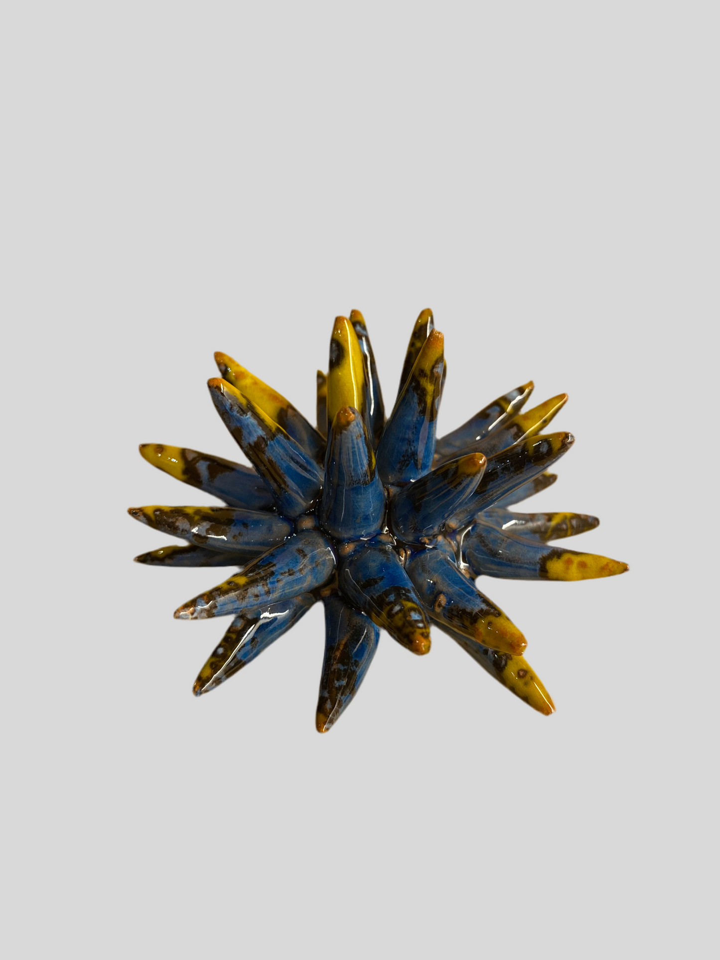 Riccio Ceramica