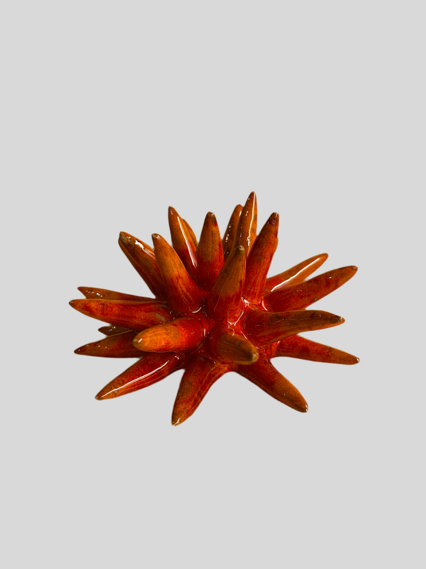 Riccio Ceramica
