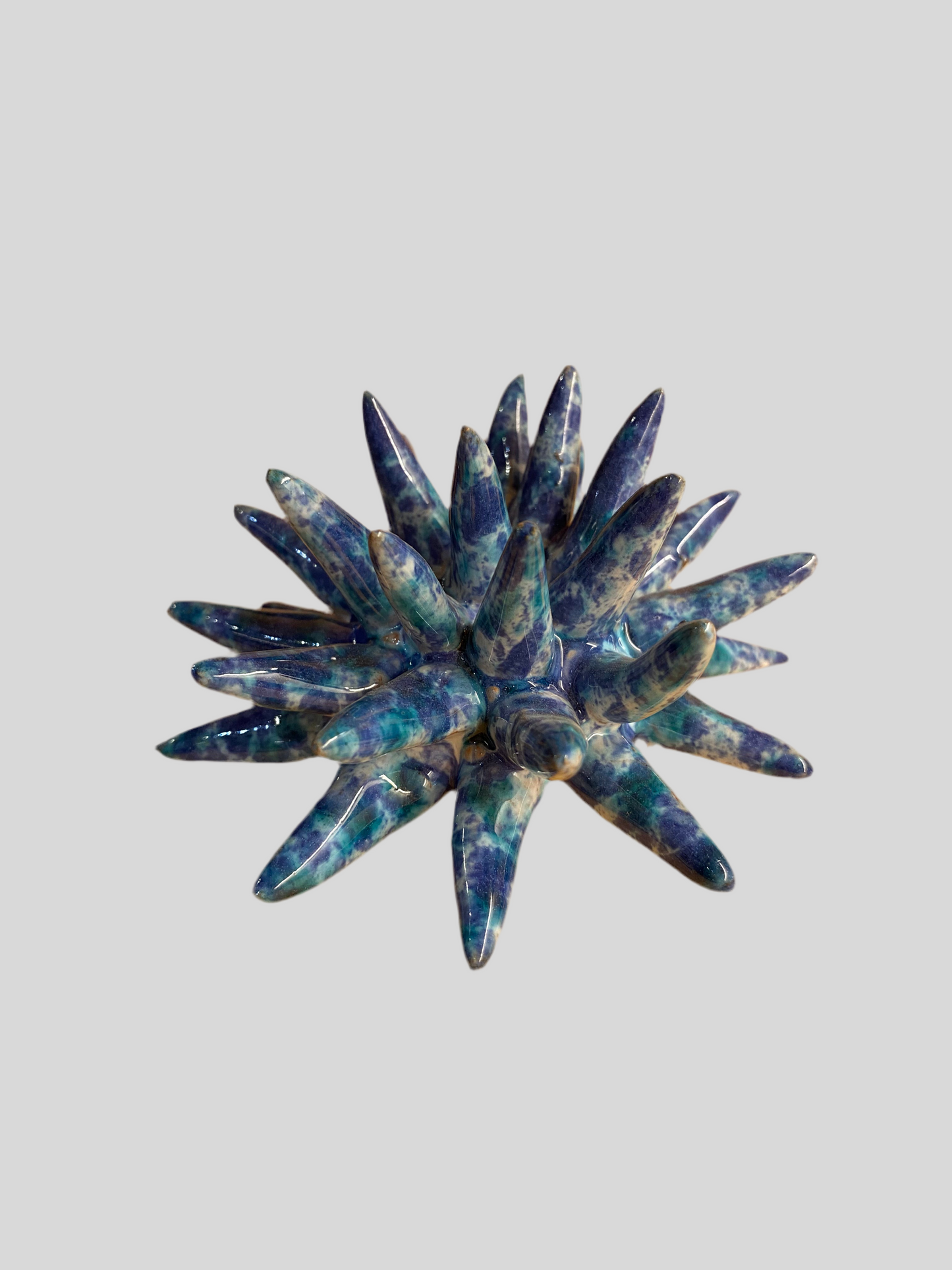 Riccio Ceramica