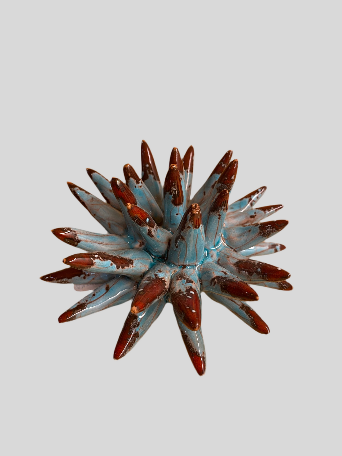 Riccio Ceramica