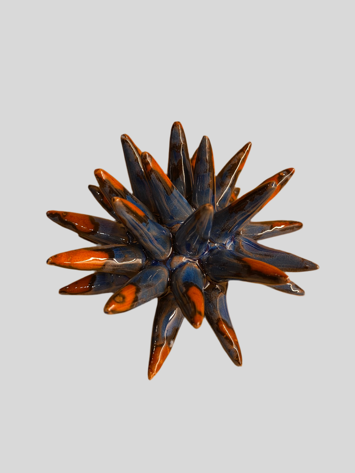 Riccio Ceramica