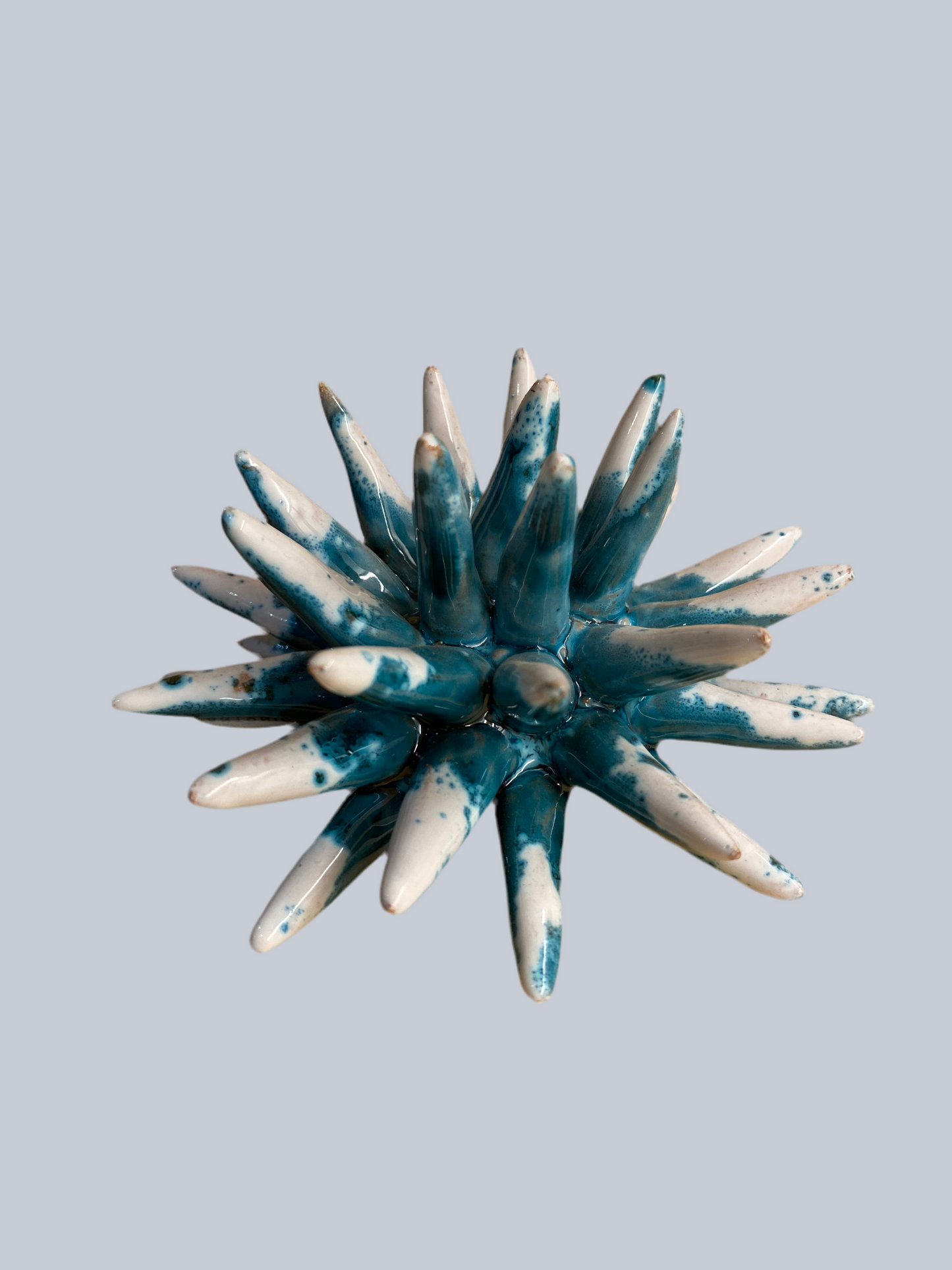Riccio Ceramica