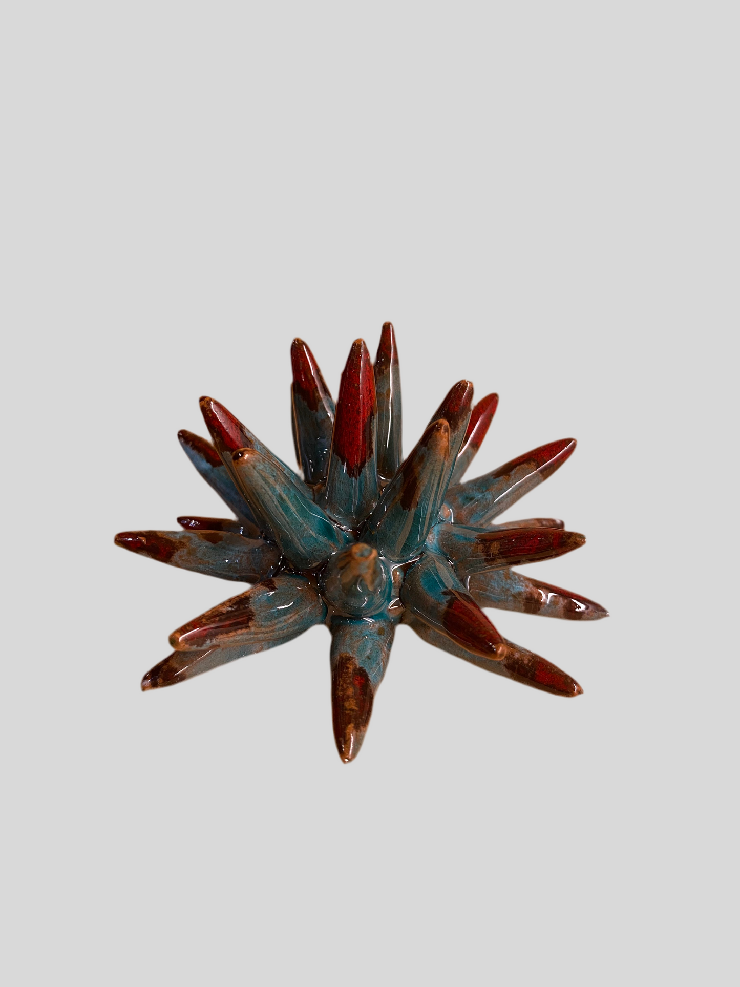 Riccio Ceramica