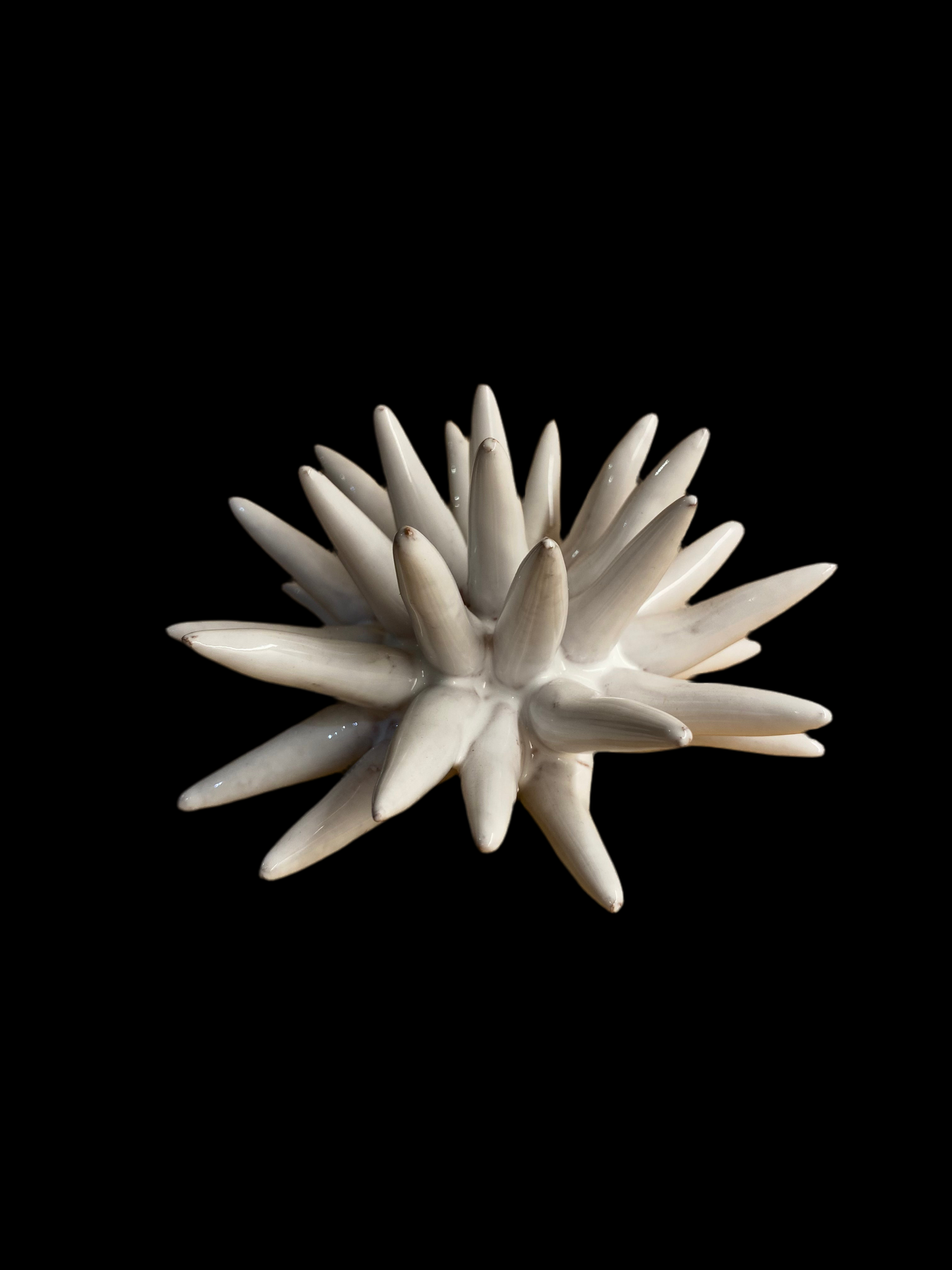 Riccio Ceramica