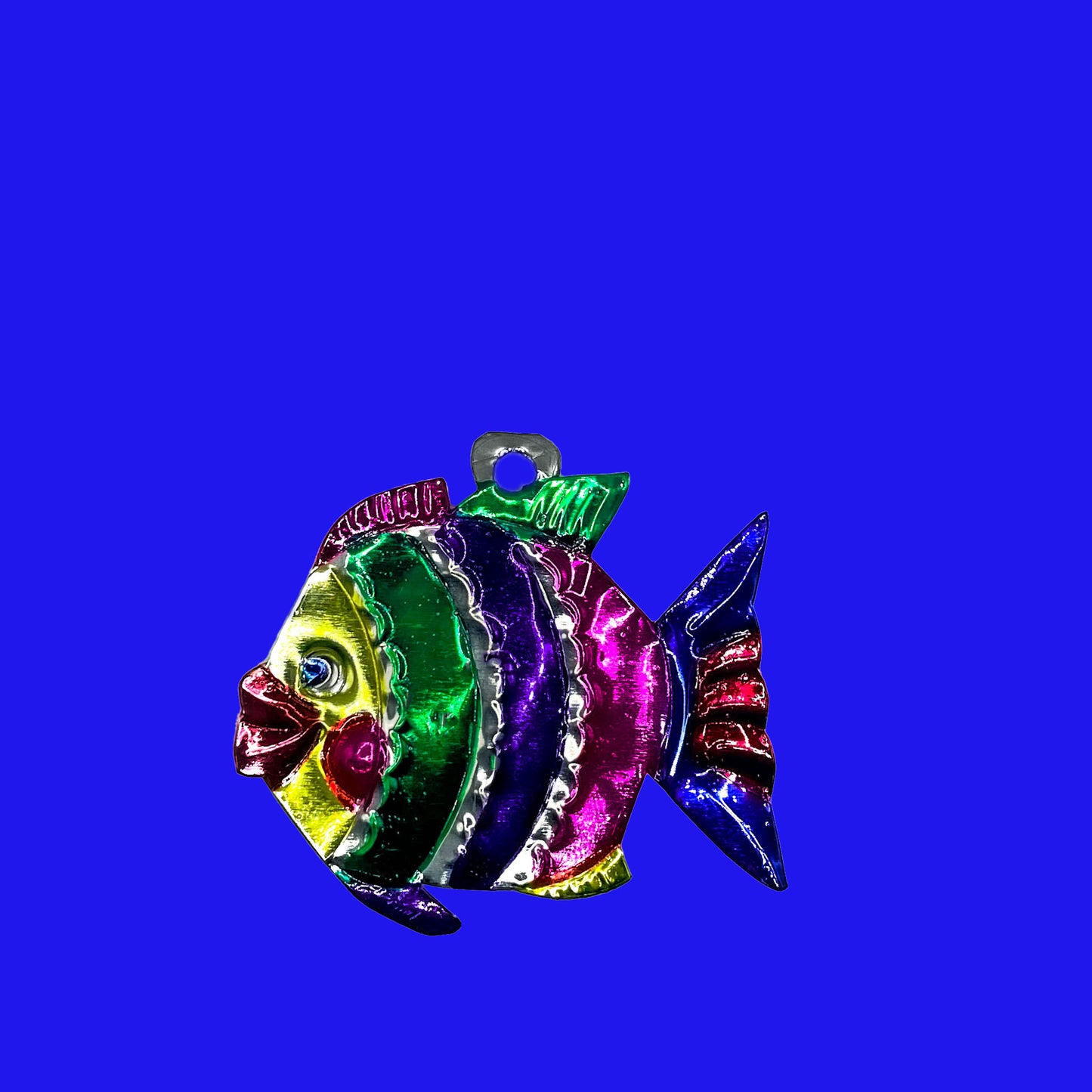 Rainbow fish