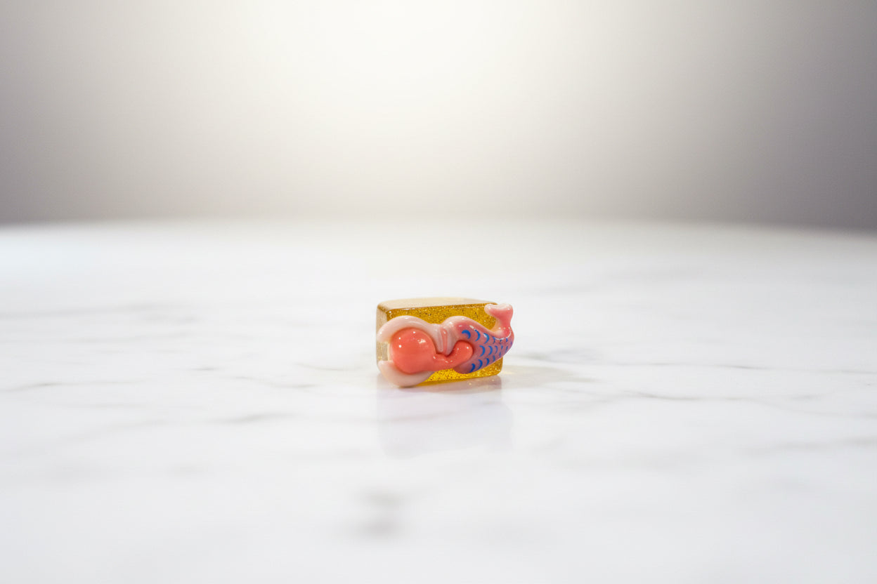 Anello resina