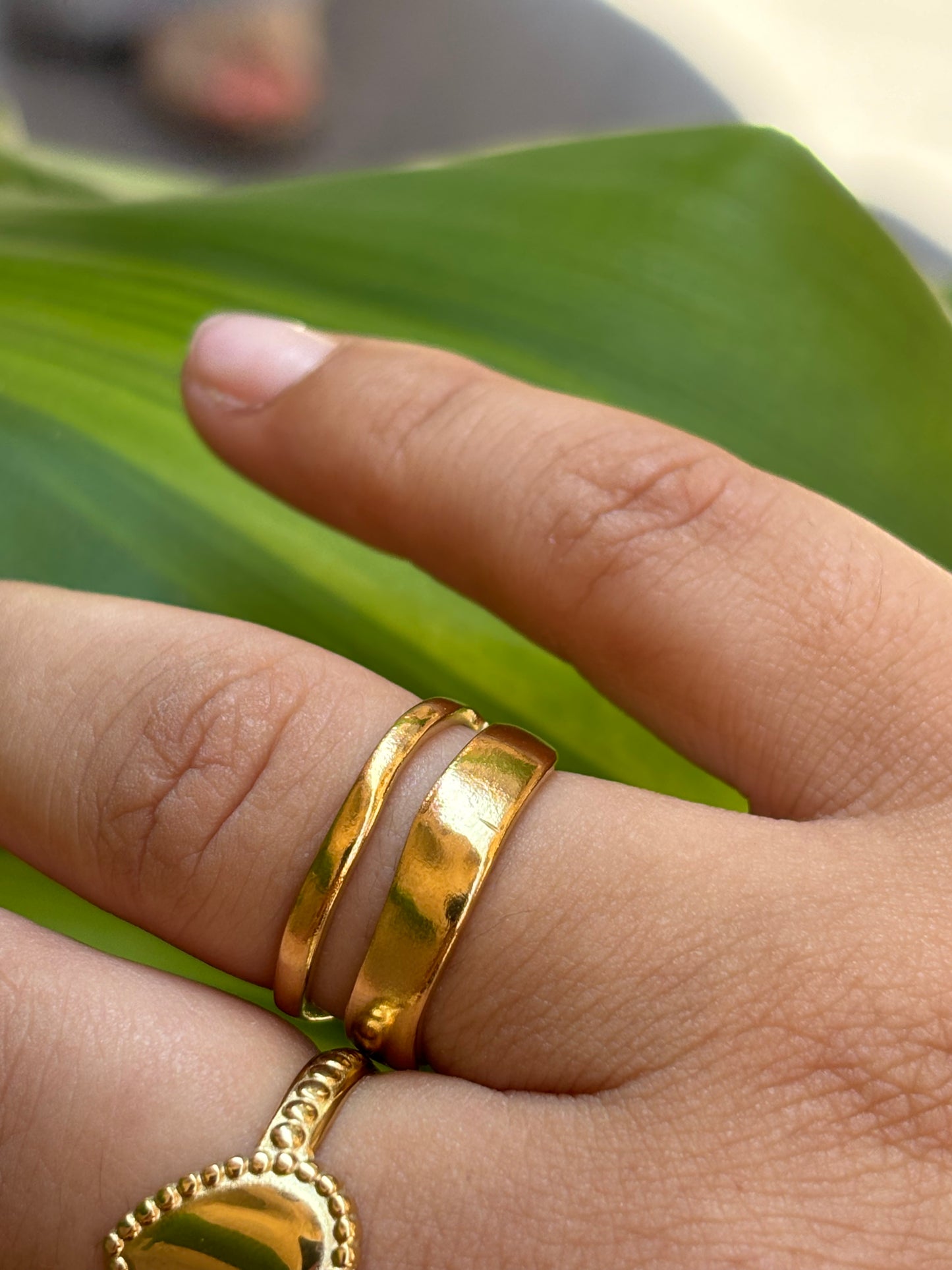 Anello Rodi
