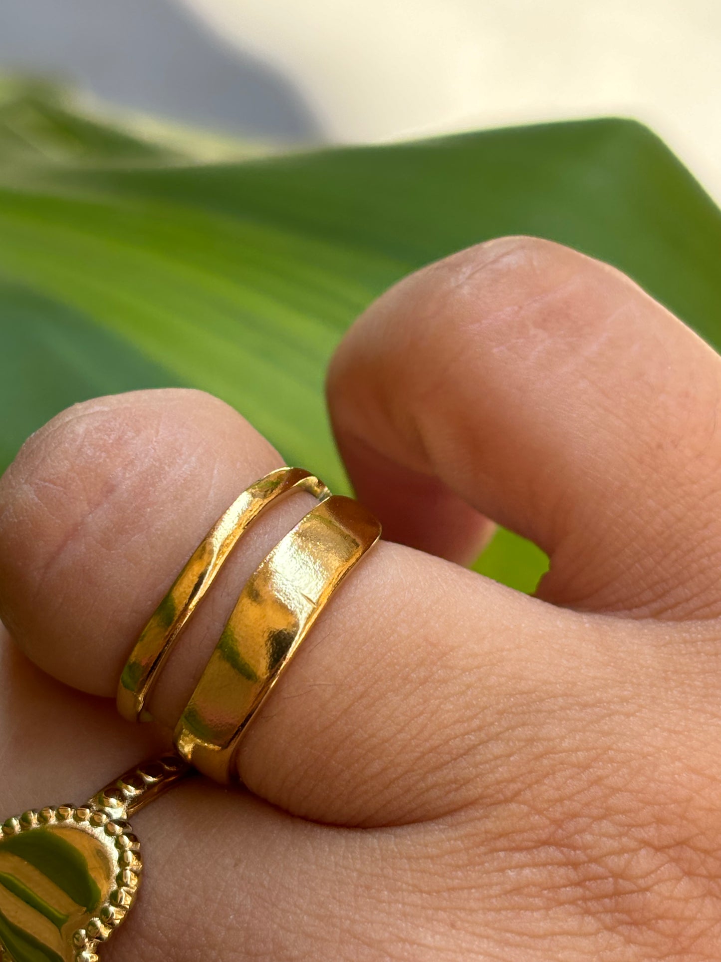 Anello Rodi