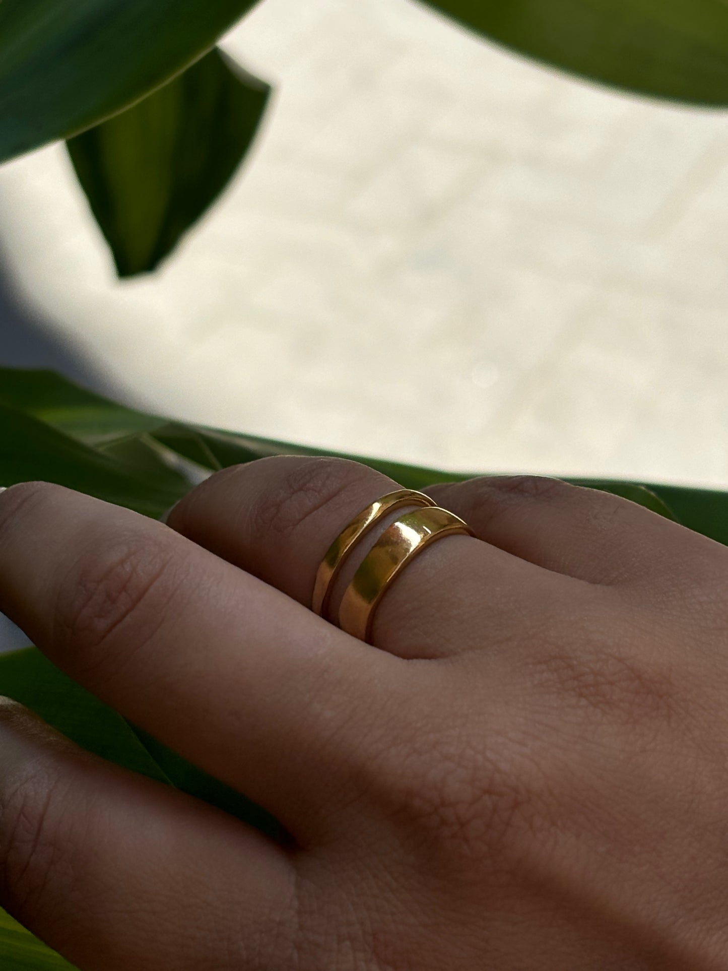 Anello Rodi