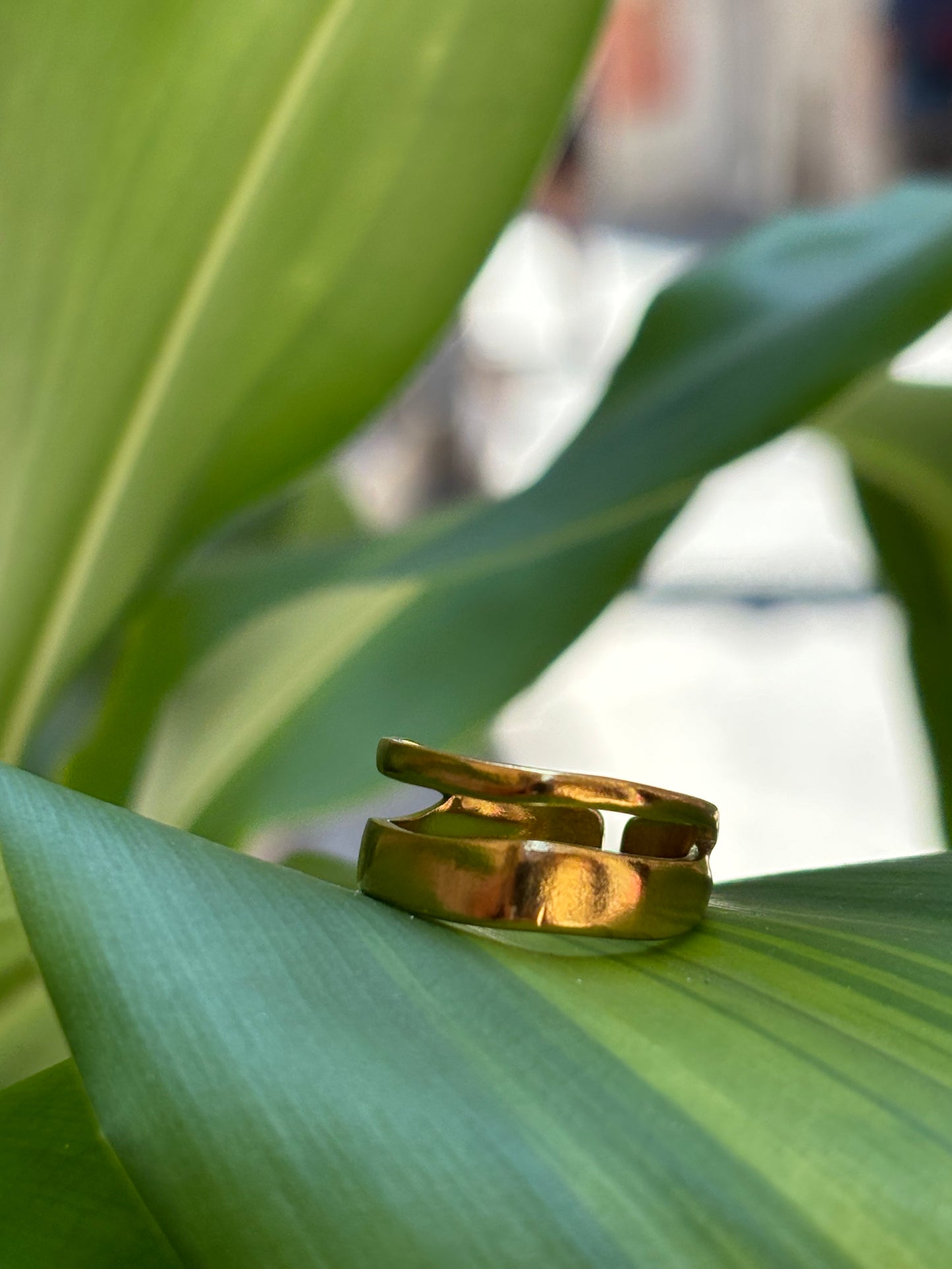 Anello Rodi